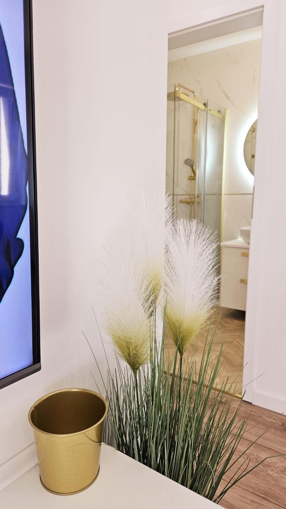 Apartament Olivia 格但斯克 外观 照片
